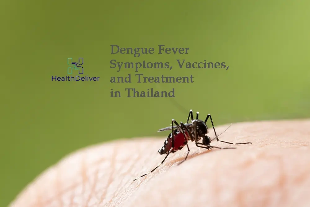 Mosquito on human skin with dengue fever information text overlay