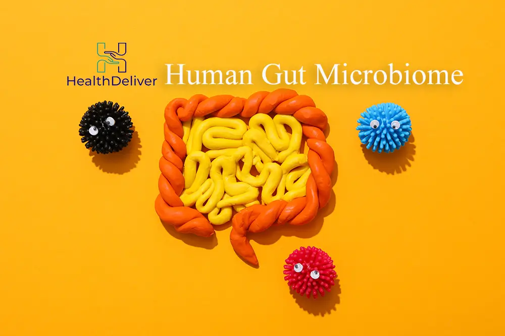 Gut Microbiome