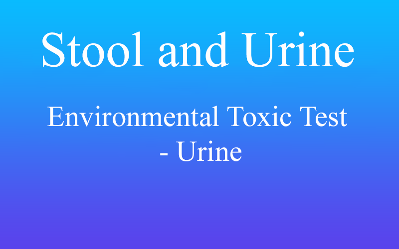 Environmental Toxic Test – Urine