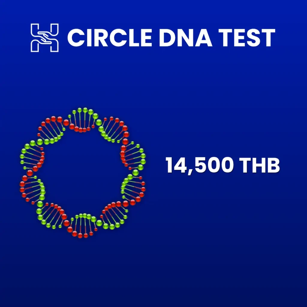 Circle DNA Test circular double helix structure price 14500 THB